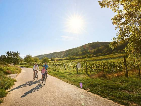 Radfahren im Südburgenland