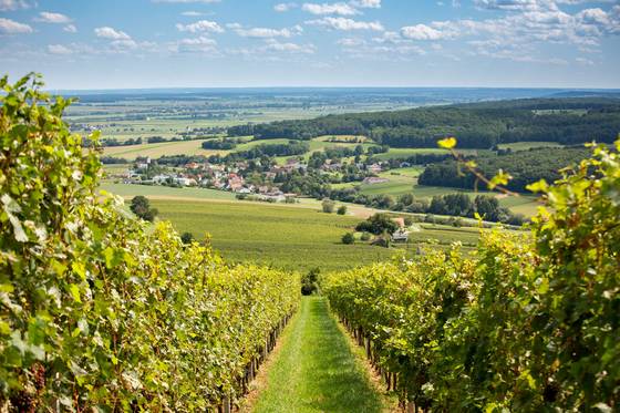 Natur im Südburgenland