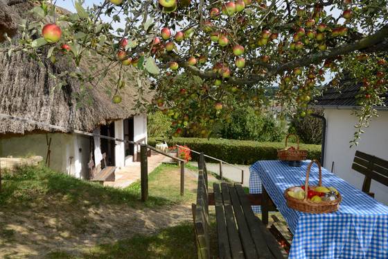 Herbst in der Kellergasse in Heiligenbrunn