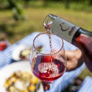 Glas Uhudler im Südburgenland (c) Burgenland Tourismus GmbH