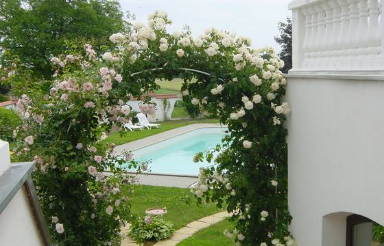 Blick in den Garten des Hotel Krutzler