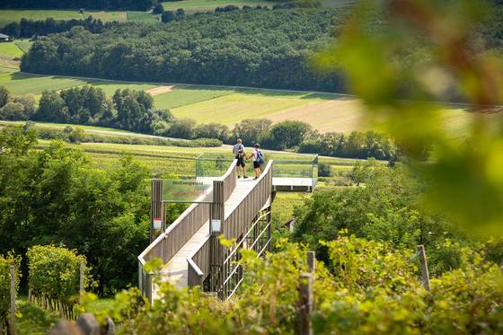 Weinblick am Eisenberg (c) Burgenland-Tourismus-Gmbh Andreas Hafen Hotel Krutzler