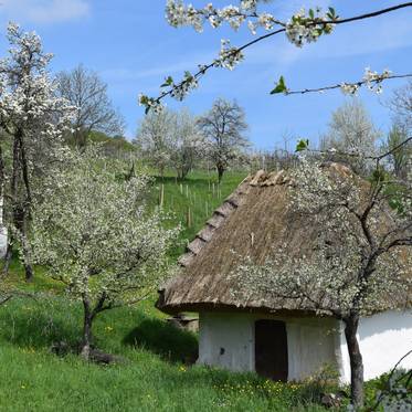 Südburgenland