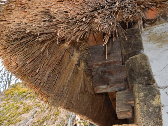 Strohdach von einem Keller in der Kellergasse Heiligenbrunn.