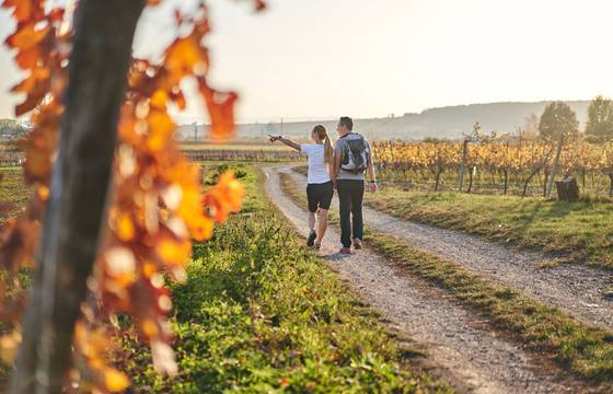 Herbstwanderung in Burgenland (c) Burgenland Tourismus