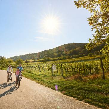 Radfahren im Südburgenland (c) Burgenland Tourismus GmbH