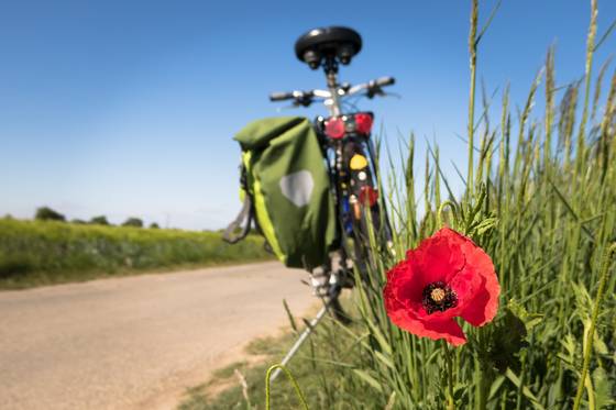 Radtour über Wiesen & Felder im Südburgenland