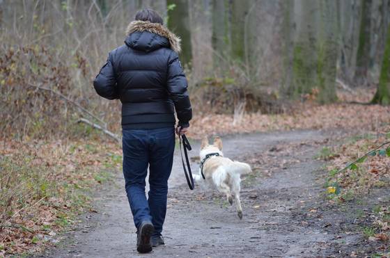 Spaziergang mit Ihrem Hund im Südburgenland