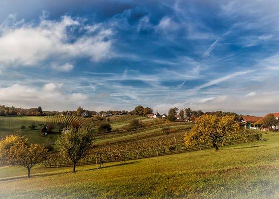 Urlaub im Hotel Krutzler im Südburgenland